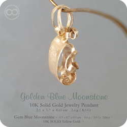 Gem Blue Moonstone 10K SOLID Gold Jewelry Necklace [ H 143 ] 第5張的照片