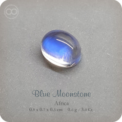 Gem Blue Moonstone 10K SOLID Gold Jewelry Necklace [ H 143 ] 第7張的照片
