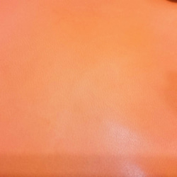 A5(6孔)皮革記事本-溫暖橘 (客製打印名標) 第4張的照片