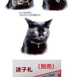 Cat Collar Tora Pattern三向3點套裝帶安全帶的Bandana 第2張的照片