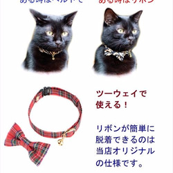 猫の首輪 唐草 緑 ツーウェイで使える！ リボン+安全ベルトの２点セット　セーフティバックル付き 2枚目の画像