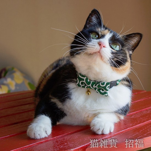 猫の首輪 唐草 緑 ツーウェイで使える！ リボン+安全ベルトの2点
