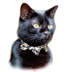 猫の首輪　リボン（ドット柄）　安全ベルトの２点セット　セーフティバックル付 3枚目の画像