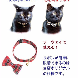 貓項圈兩用2件套色帶安全帶2件套 第2張的照片