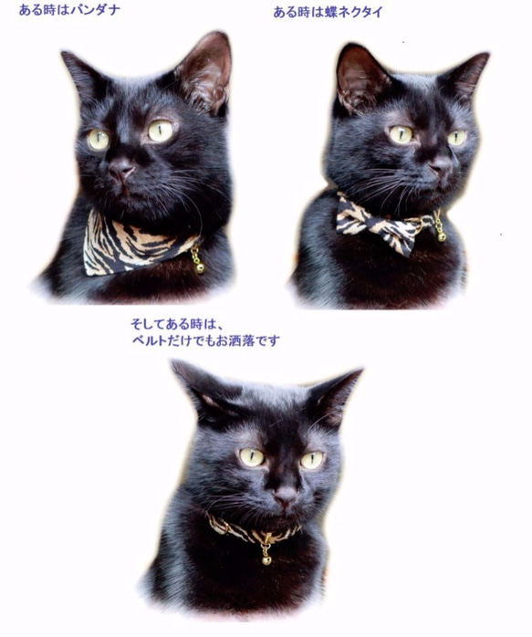 貓領“三路3點設置”絲帶頭巾安全帶與安全扣 第2張的照片
