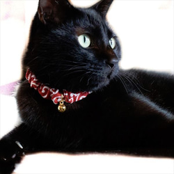 貓項圈阿拉伯式花紋髮圈 有多種尺寸可供選擇，適合小貓到成年貓！ 第7張的照片