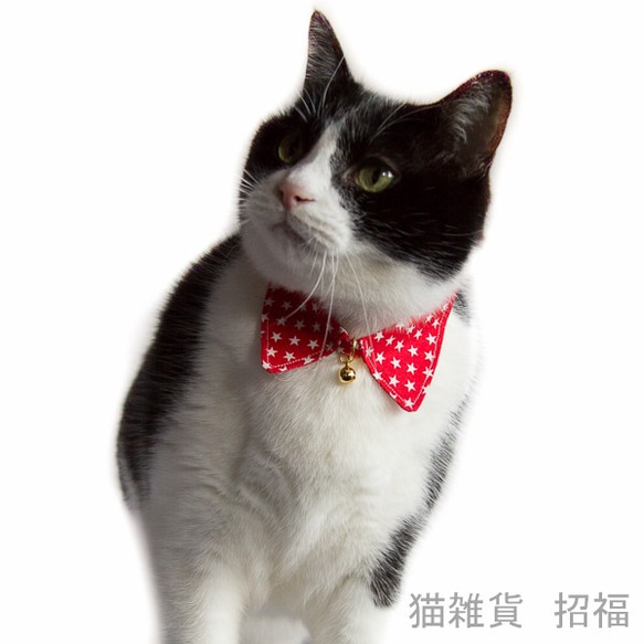 帶安全扣的貓項圈 尺寸可調稀有美國棉 第5張的照片