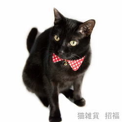 帶安全扣的貓項圈 尺寸可調稀有美國棉 第1張的照片