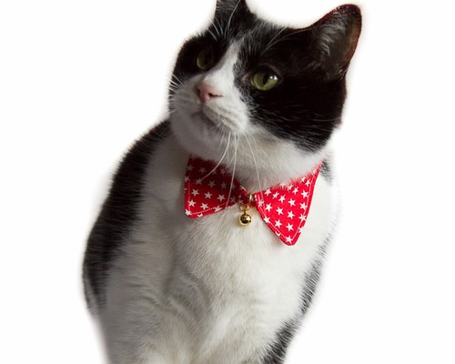 高額当選　陶器製 猫の置物 赤い首輪付き 陶器製 猫の置物 ペア｜Yahoo!フリマ（旧PayPayフリマ）
