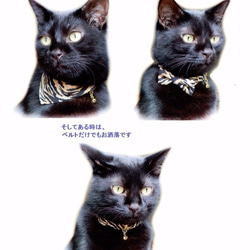 貓領日式彈簧三通3件套絲帶手帕附安全扣 第2張的照片