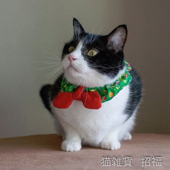 猫の首輪　クリスマス仕様 4枚目の画像
