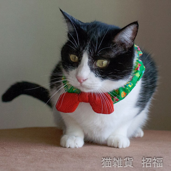 猫の首輪　クリスマス仕様 5枚目の画像