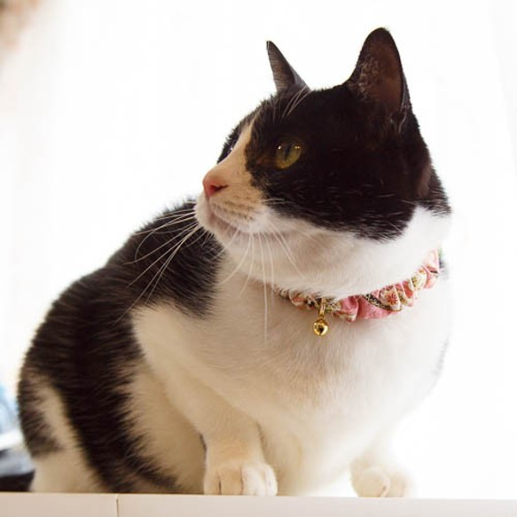 猫 首輪 シュシュ 子猫～成猫まで サイズは多数から選べます！ 10枚目の画像