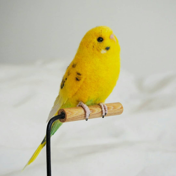 ta様専用ページ◯オーダーセキセイインコ◯ 1枚目の画像