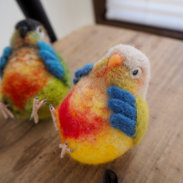 coto様オーダー品◯まんぷくインコちゃん◯ウロコインコ 1枚目の画像