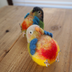 coto様オーダー品◯まんぷくインコちゃん◯ウロコインコ 3枚目の画像