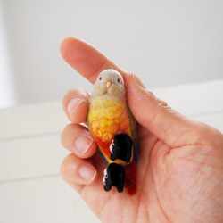 T様オーダー品◯まんぷくワカケインコ&鉛筆にとまる胡錦鳥◯ 4枚目の画像