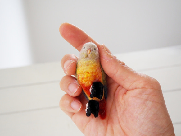 T様オーダー品◯まんぷくワカケインコ&鉛筆にとまる胡錦鳥◯ 4枚目の画像