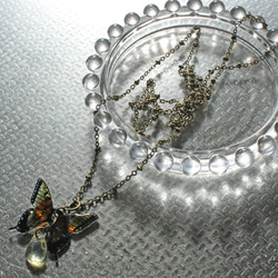 プラバン蝶のネックレス09 1枚目の画像