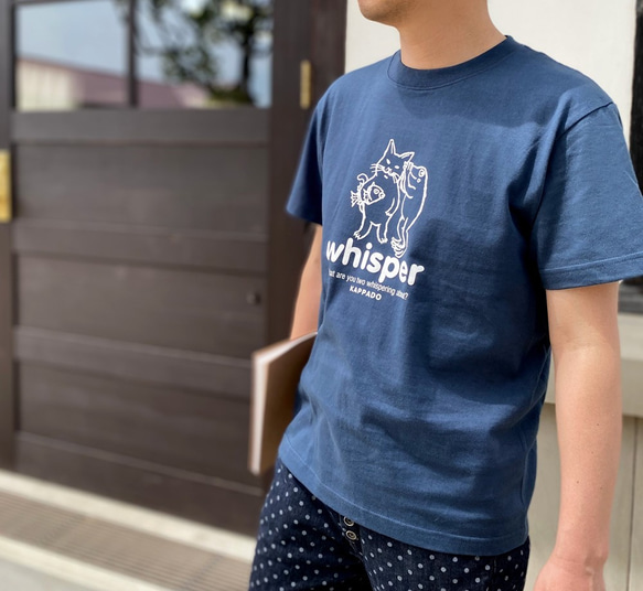 猫とカエルのTシャツ（スレート）【M】男女兼用 1枚目の画像