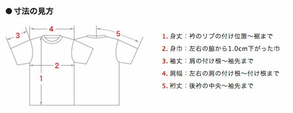 Tシャツ「カエルコースター」（ライトグリーン）男女兼用【受注生産】 3枚目の画像