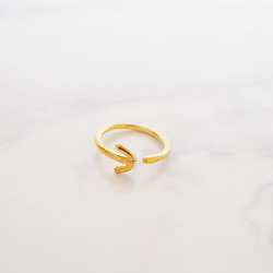 Arrow Ring 第1張的照片