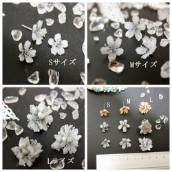 冬桜〇桜色Mサイズ〇ピアス・イヤリング【片耳ずつ売り】 5枚目の画像