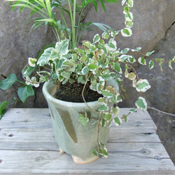 若葉色の植木鉢 2枚目の画像