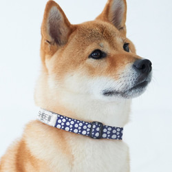 COLLAR PAW DOT【NAVY】犬用首輪 1枚目の画像