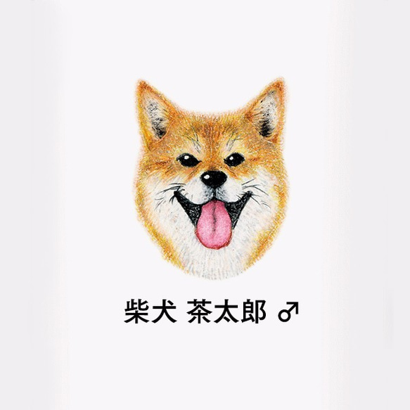 iPhone CASE SHIBE SMILE ( iPhone XS / X / 8 / 7 / 6s ) 第4張的照片