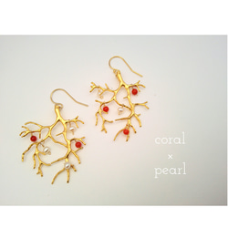 枝葉珊瑚のピアス（×pearl） 1枚目の画像