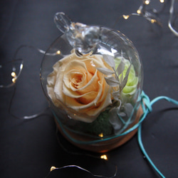 公主玫瑰瓶中花園～美女與野獸 迪士尼玻璃盅 永生花不凋花 第5張的照片
