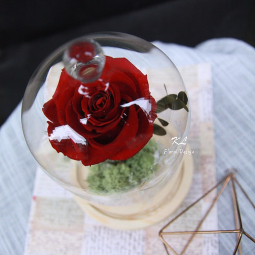 Belle Rose