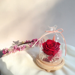 [Creema Romantic Tanabata Lover Gift]庭のプリンセスローズボトル〜美しさと獣ディズニーガラス 3枚目の画像