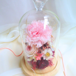 【 母親節 creema無齡少女心】小鳥瓶中花～永生花玻璃盅 不凋花 母親節 美女與野獸 康乃馨 玫瑰 生日禮物 第1張的照片