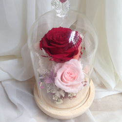 【 母親節 creema無齡少女心】小鳥瓶中花～永生花玻璃盅 不凋花 母親節 美女與野獸 康乃馨 玫瑰 生日禮物 第3張的照片