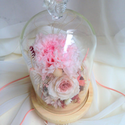 【 母親節 creema無齡少女心】小鳥瓶中花～永生花玻璃盅 不凋花 母親節 美女與野獸 康乃馨 玫瑰 生日禮物 第5張的照片