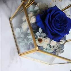[クリマロマンチックな七夕の恋人の贈り物]ベルベット青永遠の花のコレクションボックス〜美と獣のバラガラスハウス永遠の花バレンタイ 7枚目の画像