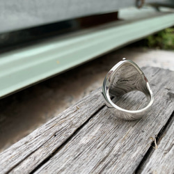 漫想埃及系列【伊氏聖甲蟲】925純銀戒指 第4張的照片