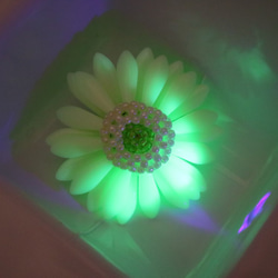 非洲菊胸針（奶油黃）*花朵胸花希望鈾玻璃奇幻科學魔法夜光黃 第4張的照片