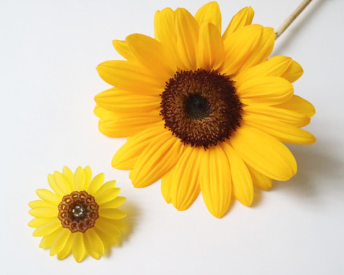 美品✳︎Trovelore トロベローレ 向日葵　ブローチ　ひまわり　イエロー Trovelore ブローチ/SUNNY SUNFLOWER | Lido オンラインショップ