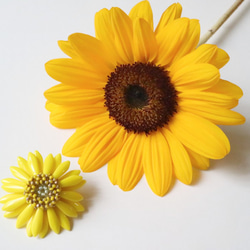 0_eb94b94a285b75ae774f06857061