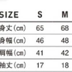  第6張的照片