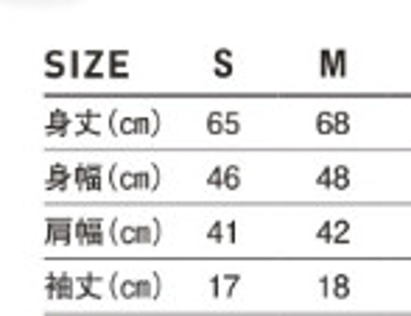  第6張的照片