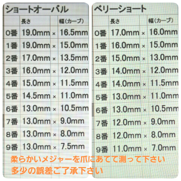 送料無料　春カラー押し花ネイルチップ 2枚目の画像