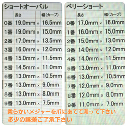 送料無料　春ネイル　押し花ワイヤーネイルチップ　ショートオーバル 2枚目の画像