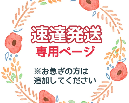 速達発送】速達にて発送希望の方はこちらを追加【最短翌日到着