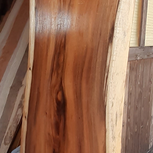 モンキーポット 二枚継ぎ ダイニングテーブル 2 特大 ダイニング