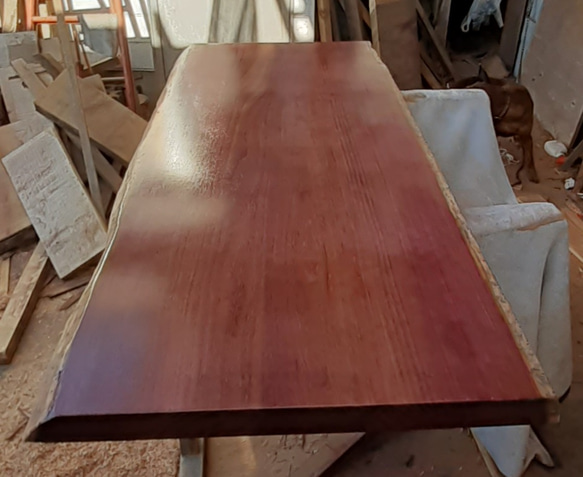 パープルハート　一枚板　最高級　特大 