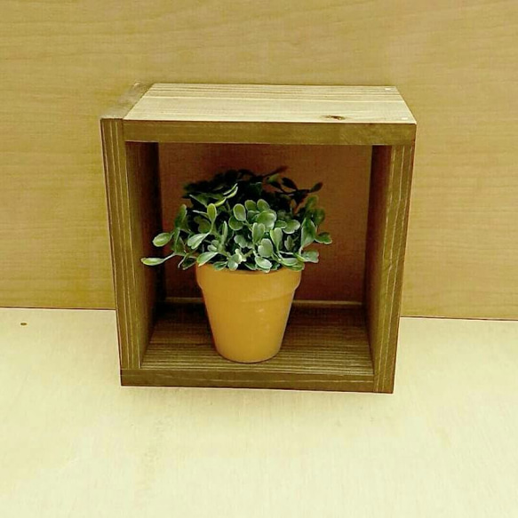 ウォールナット　無垢　小物入れ まるごと天然木“Petit truc”木の小物入れ | Interior Shop NOLSIA